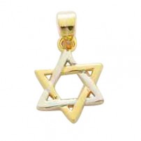 Gold Filled Mini Star of David Pendant